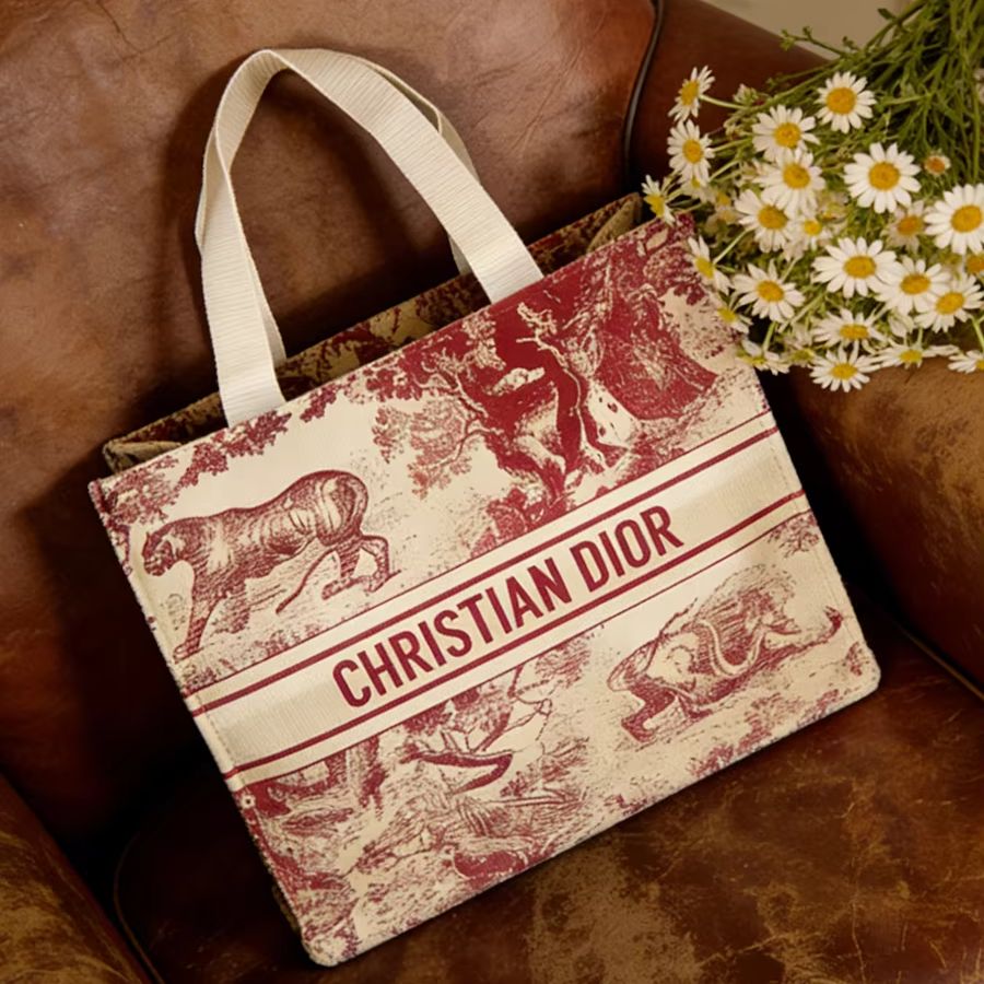 Borsa Christian Dior, borsa to - Women Bags Tote Dior recensione e prezzo